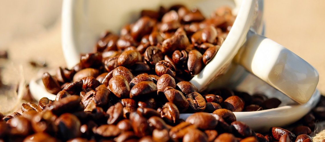 Der ultimative Leitfaden zu den besten Wiener Kaffeehäusern