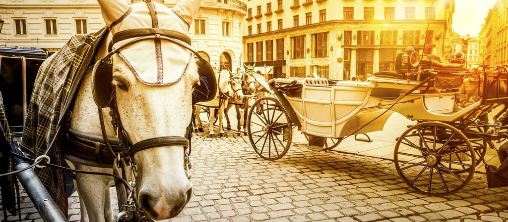 9 romantische Aktivitäten in Wien - Der Guide für Romantik in der Stadt der Musik