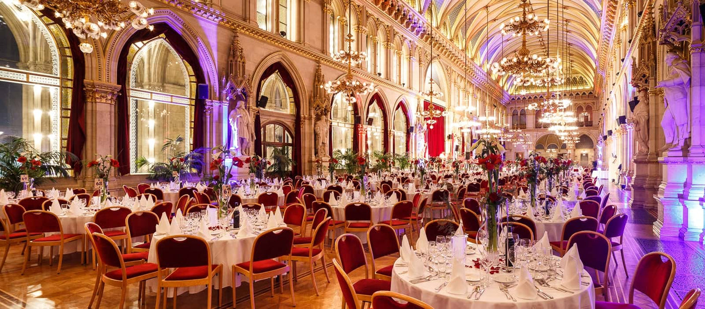 New Year's Eve Gala in Vienna City Hall
