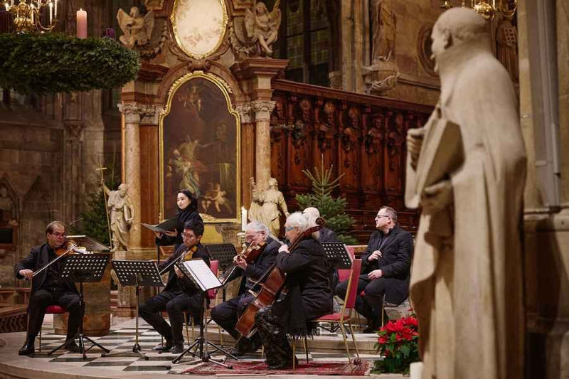 Beautiful nativity scene with pine trees at St. Anna Church in Vienna
