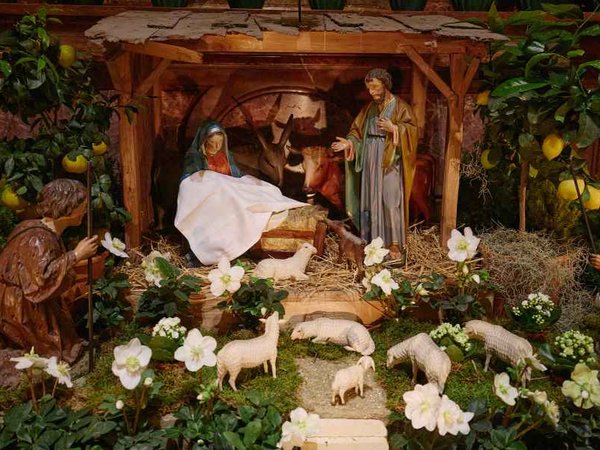 Detailed nativity scene inside St. Stephen's Cathedral at Christmas